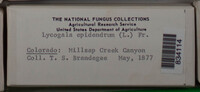 Image Associated With the Occurence